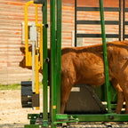 Calf Restrainer Bar