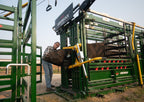 Arrowlock 88 Series Cattle Squeeze Chute