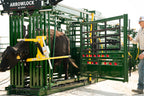 Arrowlock 88 Series Cattle Squeeze Chute